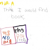 Amira Library.jpg