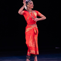 harrisragamaladancecompanyfamilyseriesflubacker-251.jpg
