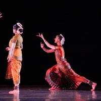 harrisragamaladancecompanyfamilyseriesflubacker-280.jpg