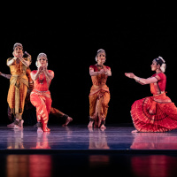harrisragamaladancecompanyfamilyseriesflubacker-308.jpg