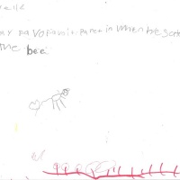 Davelle Ferdinand FP.jpg