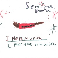 Semira Instrument.jpg