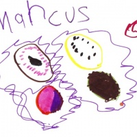 Marcus Ogre.jpg