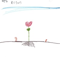 Ayleen Crayon.jpeg