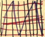 Joshua Flag.jpg