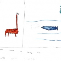 Raheem Animal.jpg