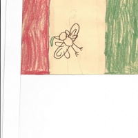 Marcos Flag.jpg
