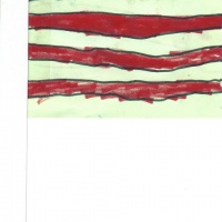 Namuunna Flag.jpg