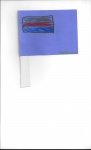 Tayshawn Flag.jpg